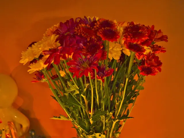 Expert Guide for Creating Enchanting Fairy Terrariums, Suitable for Kids and Adults Alike