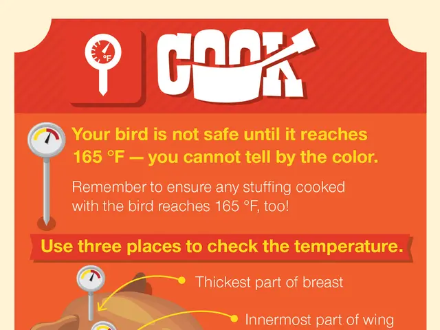 Common Misconception: Chickens and Hens are the Same, But Knowing the Difference is Important