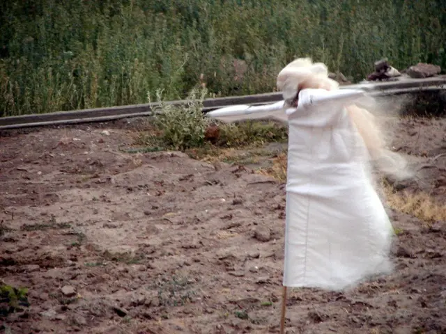 Unveiling the Unanticipated Benefits of Raccoons in Gardening