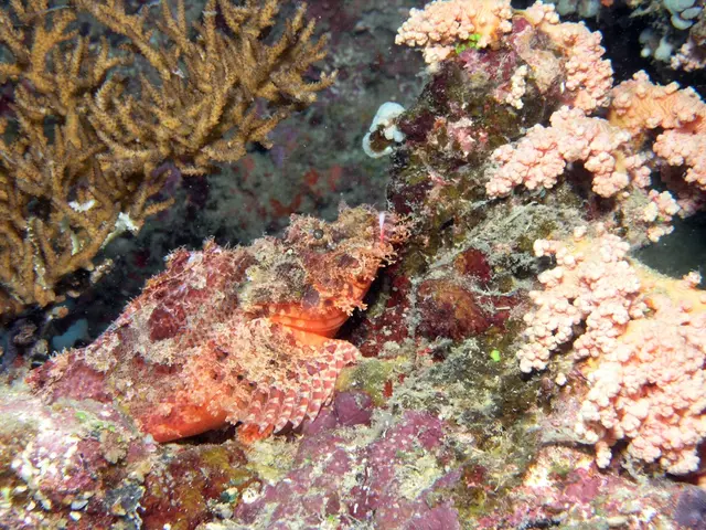 China intensifies efforts in marine research at Nice locale