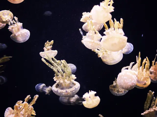 Watering plants during the morning or at night—which choice is superior? Specialists have several...