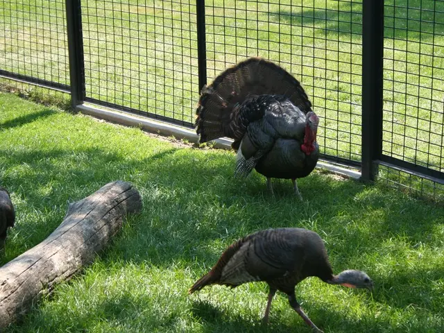 Hedging maintenance: Experts recommend early action as bird nesting season approaches
