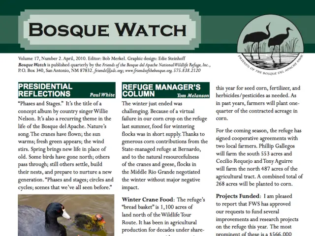 The Harm Done to Ducks Due to Easter Celebrations