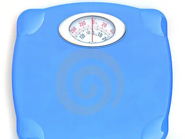 Top Smart Scales Reviewed and Choosing Guide