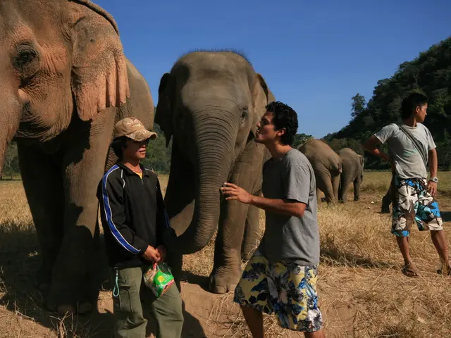 Following the demise of Elephant Otto, the herd at Hellabrunn will now be bereft of one of its...