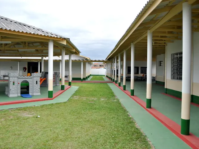 Domestic protections through fundamental freedoms