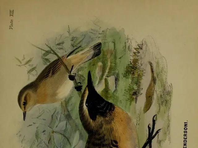 Symbolism of Avian Accessories: Liberation and Elegance