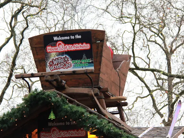 Transform Your Home with 24 Innovative Wood Floor Concepts