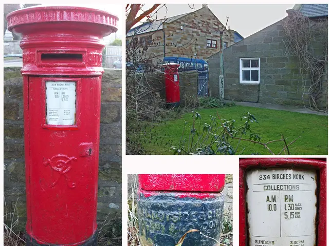 Soil Preparation Guide for Vibrant Hydrangeas Growth