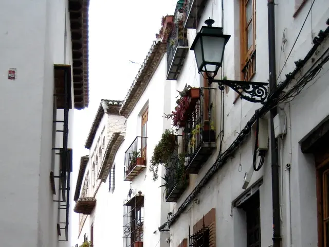 Construction planned for new street on Omsk Boulevard