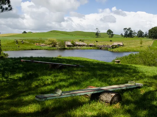 Revitalization and natural reestablishment commence at Castle Howard