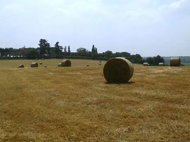 Rustic hay storage space in Alt Zauche