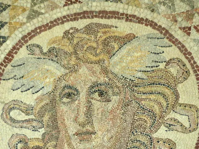 Zooey Deschanel's novel spin on the timeless checkerboard pattern creates the most stylish...