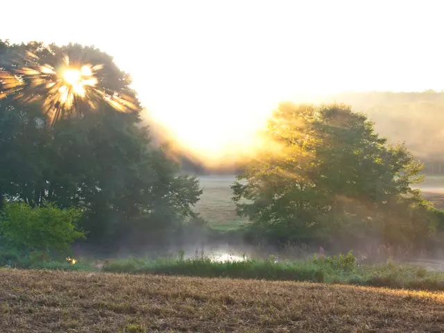 Strategies for a Reduced-Carbon Existence (Continuation from Part 1)