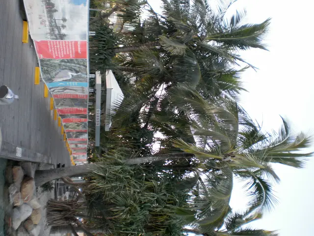 Excited for a hiking adventure this summer? Take advantage of a 50% discount on AllTrails+ now and...