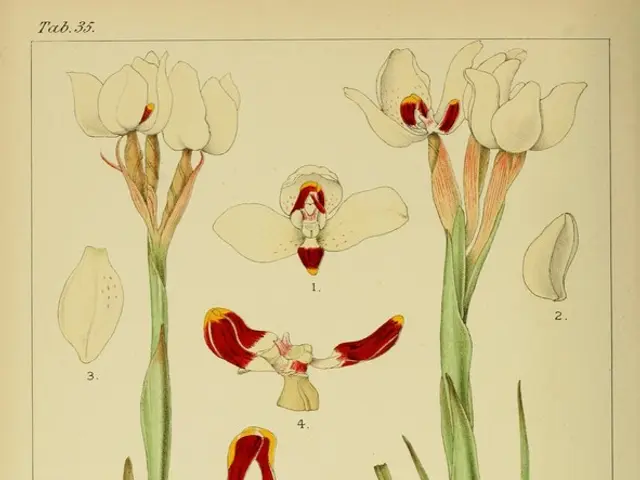 Garden Pest Control Using Neem Oil: An Efficient Approach for Earwig Eradication