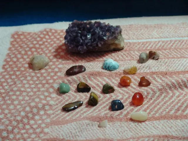 Comprehensive Guide on the Varieties and Applications of Seiryu Stone Hardscaping