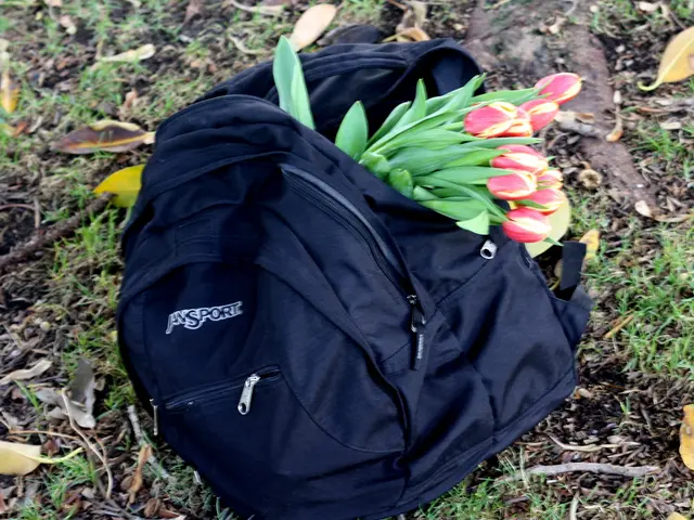 Early SpringGardening Ventures