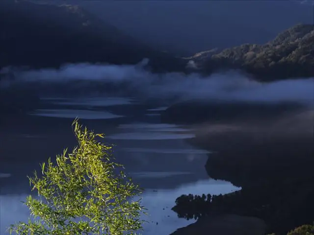 Driving Africa's energy transition through innovative green hydrogen technologies