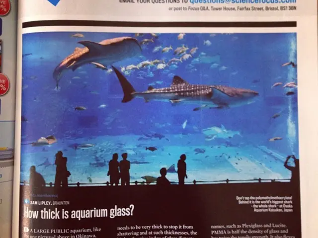 Lake Maggiore's Remaining Fishermen: "Rescued from the Brink of Extinction Through Co-operative...