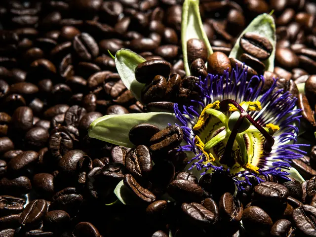 Coffee ground usage in gardening: Weighing the benefits and drawbacks