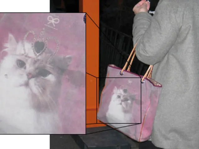 TikTok's Popular Cleaning Gadget is a Necessity for Cat Parents