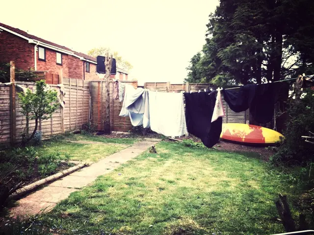 Best Regions for Growing Flax used in Linen Production