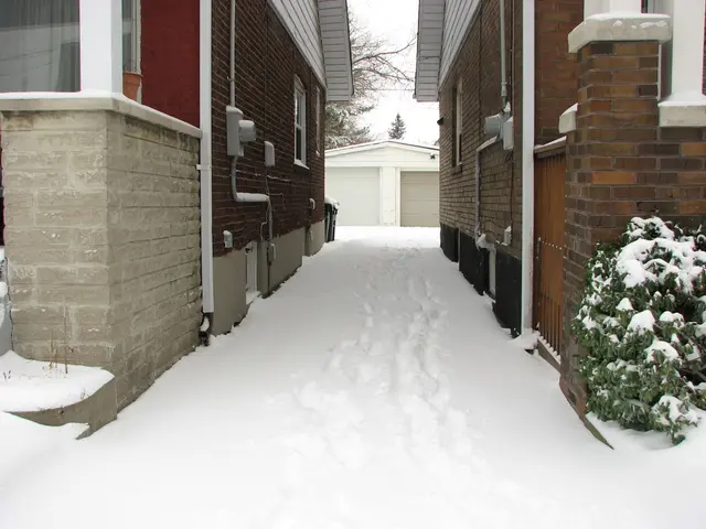 Fast-approaching "Buy Nothing Day" Coincides with Soaring House Sales