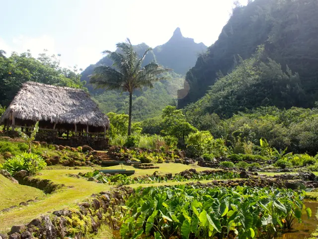 Intestinal Bleeding: Symptoms, Causes, and Remedies