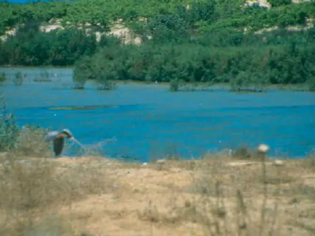 Effect of Acid Rain on Soil and Vegetation Health