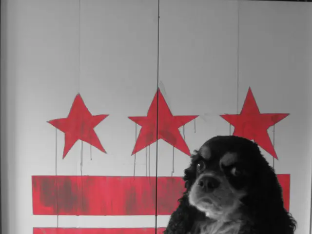 Dog Photography Event