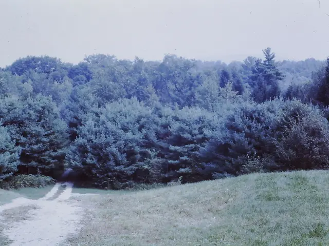 Changing from Gray to Green