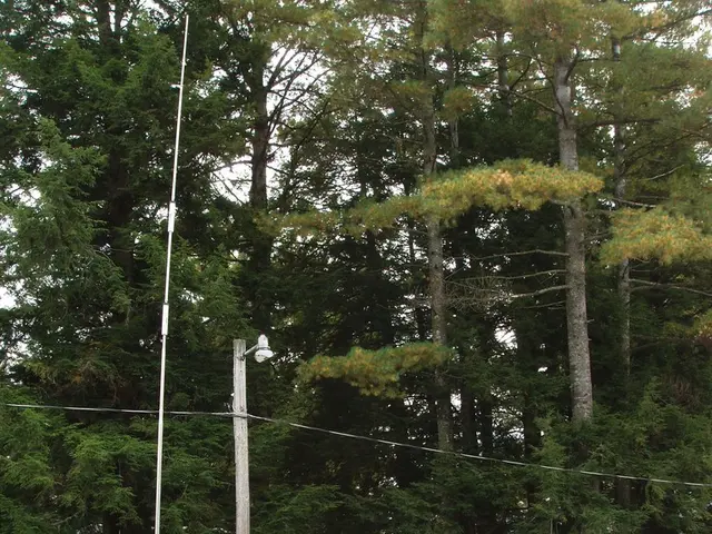 Transformed the lighting of a 1998 RV into energy-efficient LED strips: here's my approach