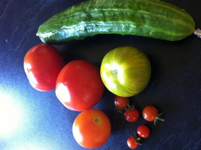 Top-Quality Mesh Fruit and Vegetable Drying Racks: Preserve Your Produce Fresh and Crunchy