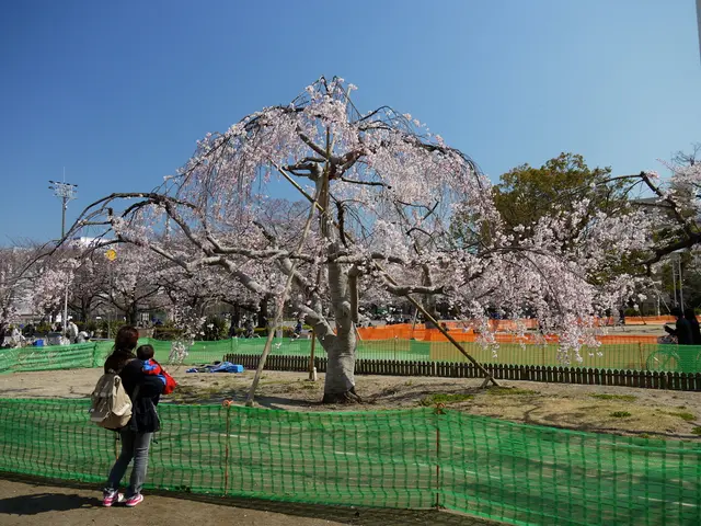 Openly Displaying It