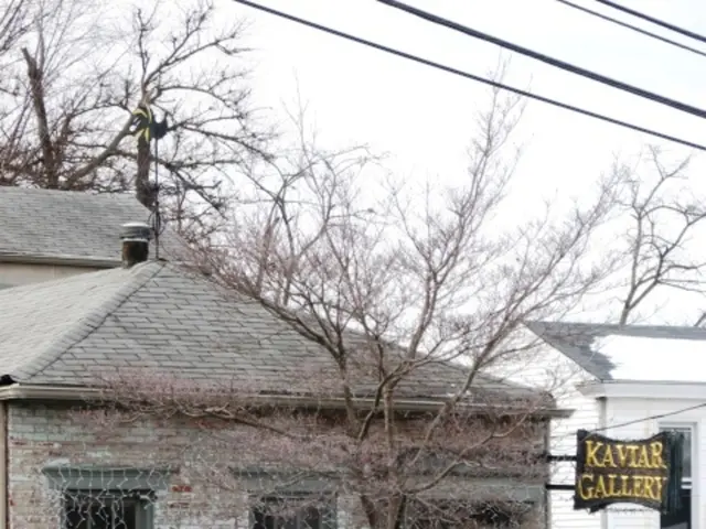 Solar-Powered Outdoor Wall Lights: No Need for Wiring, Perfect for Electricians and Attractive Home...