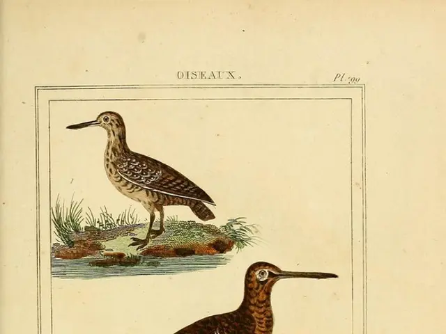 Hummingbirds Swarm Towards These Two Autonomously-Blooming Flowers, which Continuously Bloom from...