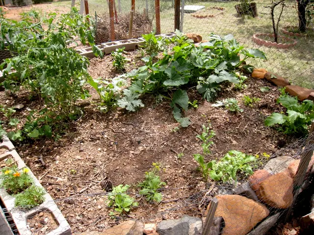 Investigating the Restorative Benefits of Marijuana within Integrative Health