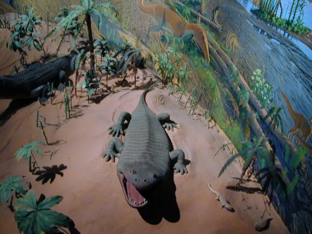 Exploring Spiritual Trails, Dinosaur Fossil Tracks, and a Riverside Beach in Ourém offers...