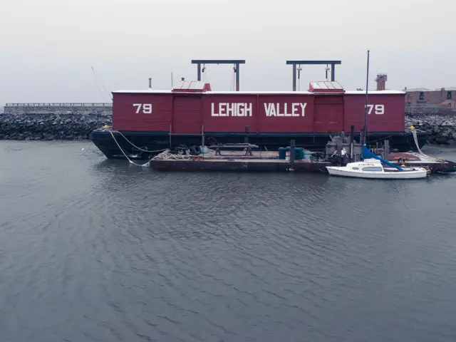 Aquatic Humanoid with Tail and Fish-Like Features