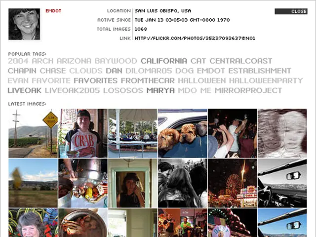 Designing with Different Font Styles: An Overview and Application in Graphics