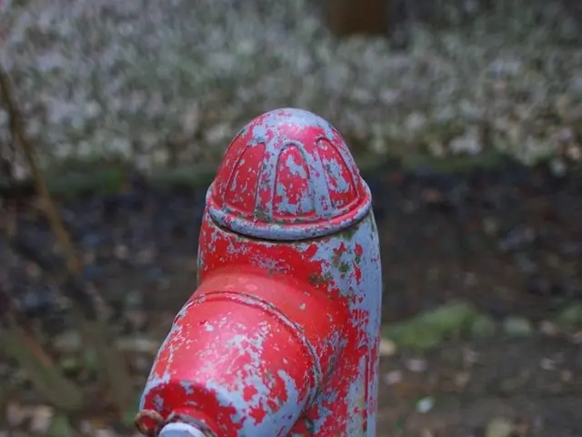 Can pressure washers be utilized during a water-restriction order? Garden experts spill the beans...