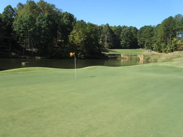 Floating abode on a Swedish lake, artfully crafted by Anna and Martin, referred to as their petite...