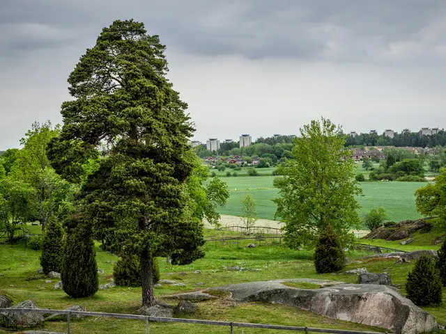 Assessing Your Patio's Scale: Finding the Ideal Blend of Paving and Vegetation in Your Outdoor...