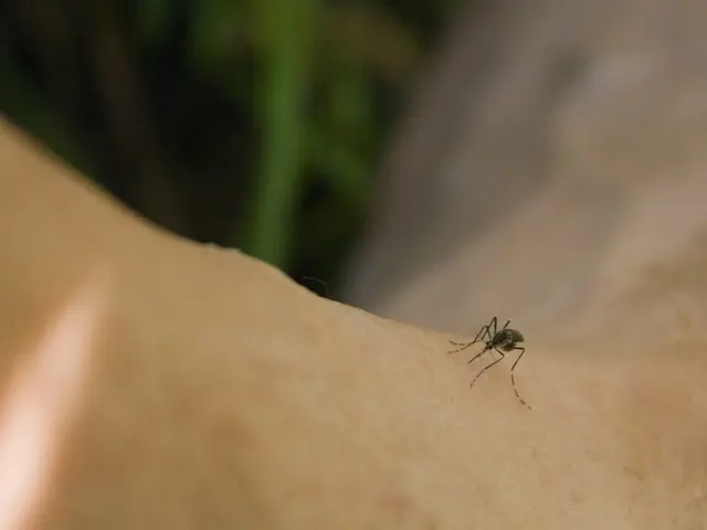 Affordable Insect Repellent Device Guarantees Protection Against Mosquito Bites, Priced Below $30