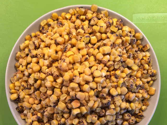 Comprehensive Guide for Seed Germination: Mastering the Art of Seed Sowing