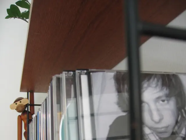 Preserving Data Stockpiles: A Guide to Avoiding the Destructive "Disc Rot" on Your CDs and DVDs