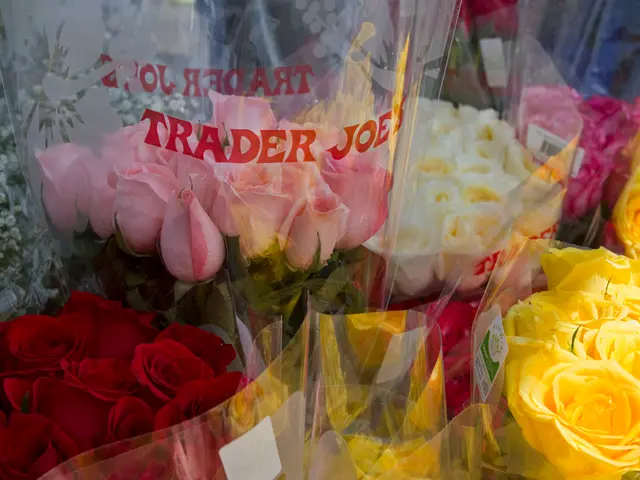 Blooming Revolution: How Star Roses Dominates the Realm of Colored Roses Worldwide