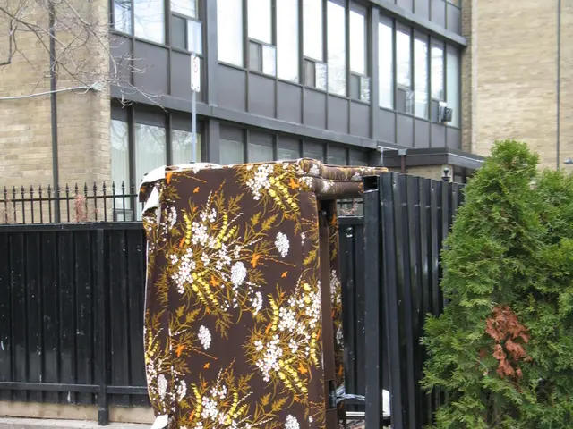 Landscaper Regularly Paints Fences in Small Gardens an Unanticipated Hue - Insight Provided