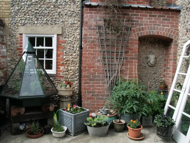 Joanna Gaines' 30-dollar rattan planter is the trendiest method to transform your porch from summer...